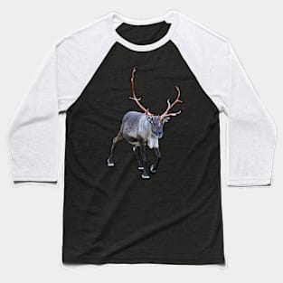 Santa Claus Reindeer Baseball T-Shirt